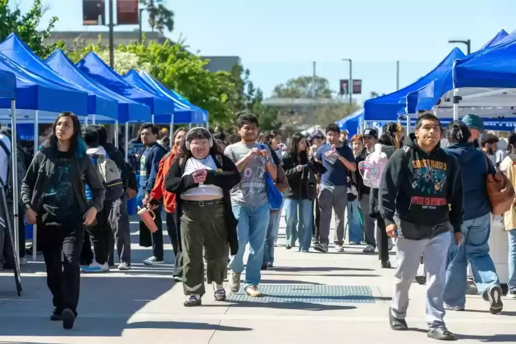 school job fair canopy
