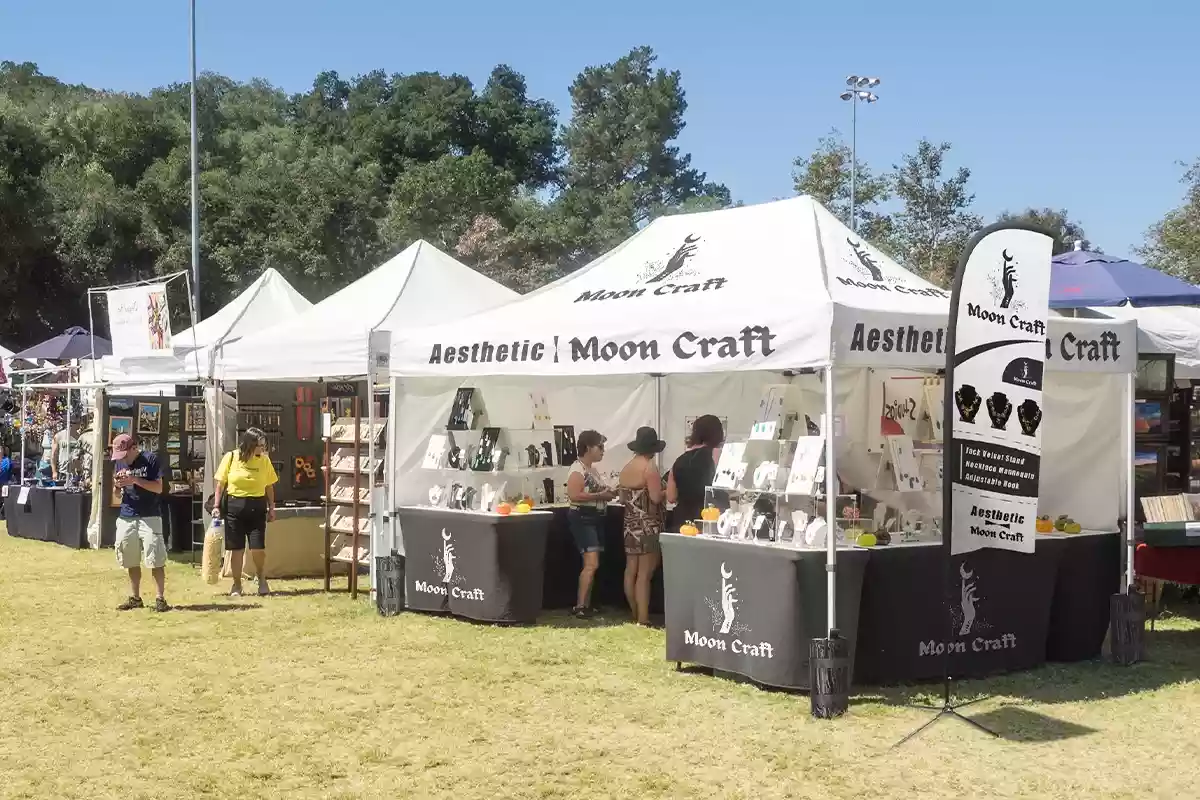 custom canopy for craft show 2