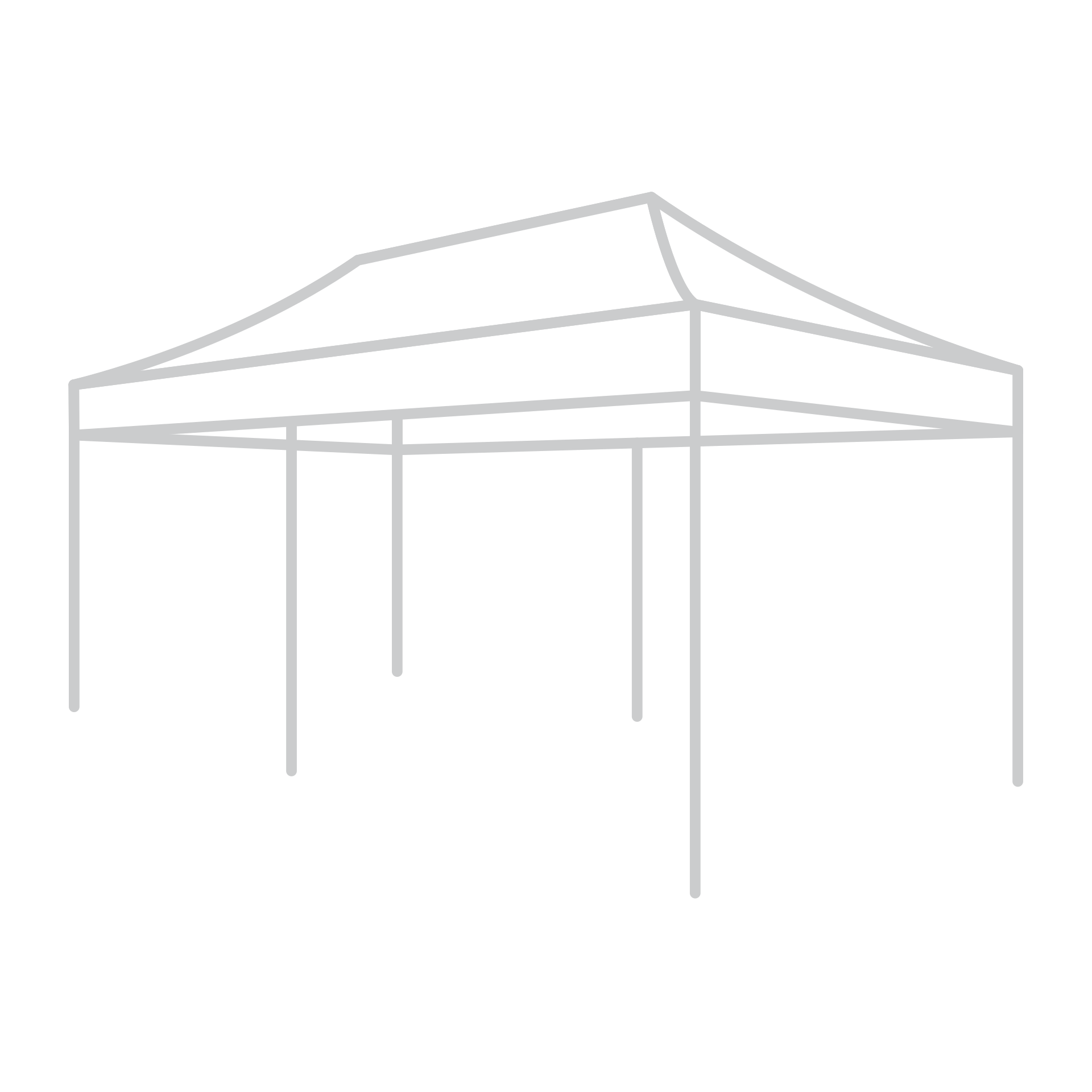 10'x20'