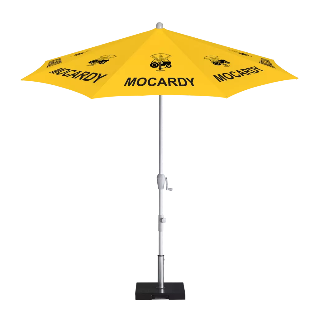 Custom Printing Service for Umbrella