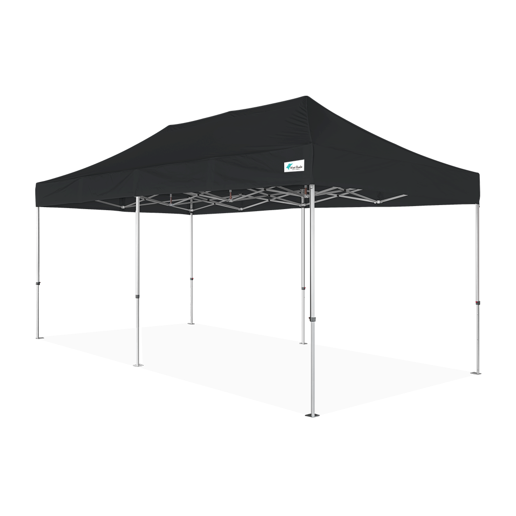 Y6 canopy tent 10ft x 20ft with black roof