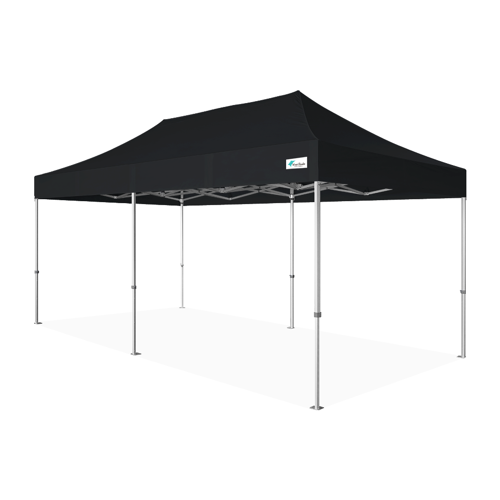 Y7 canopy tent 10ft x 20ft with black roof